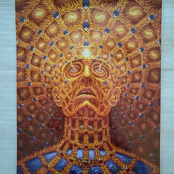 ALEX GREY OVERSOUL PRINT #160/200 SIGNED (taking offers) - Picture 8 of 13